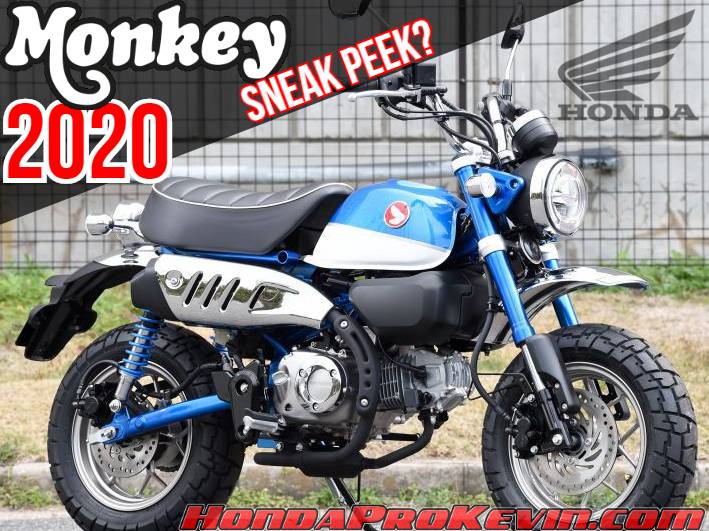 Honda monkey shop 2020